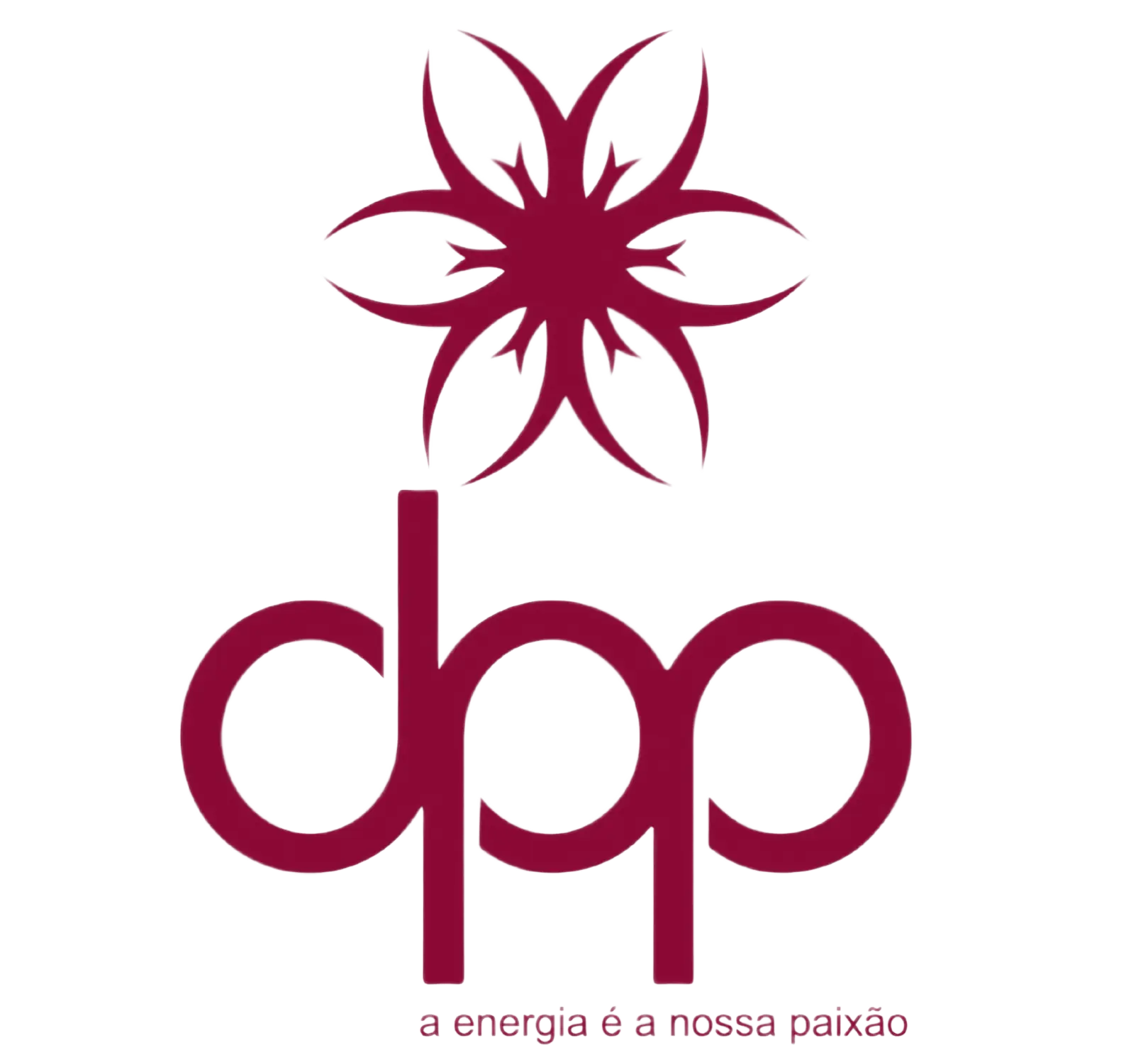 Logo dpp